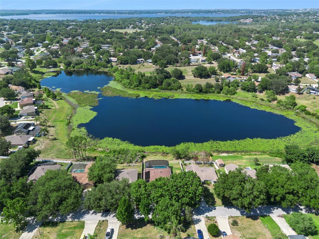11620 Pineloch Loop Clermont, FL 34711 - Photo 43 of 46