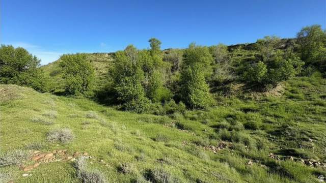 Undisclosed Address Bluebell, UT 84007 - Photo 4 of 9 View of nature