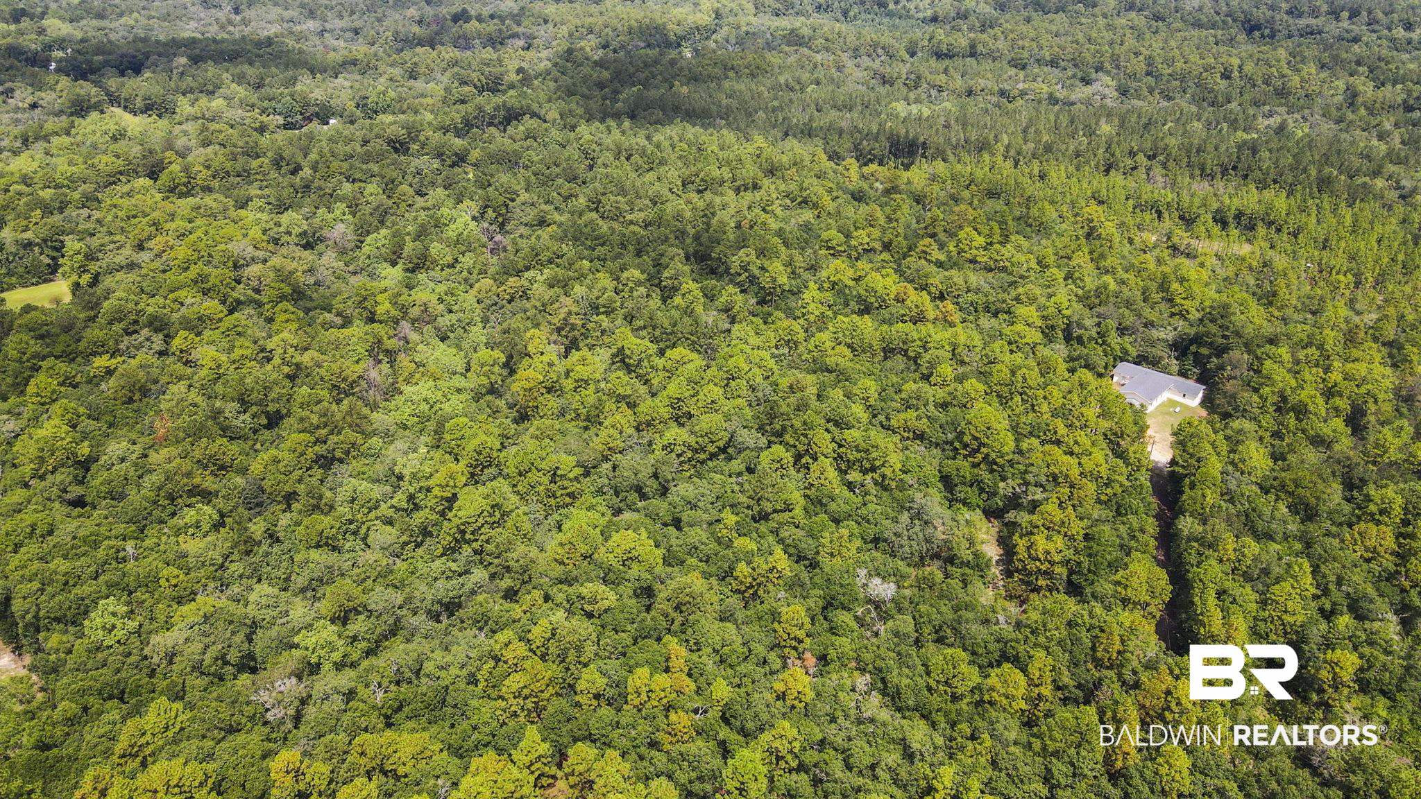 0 Mt.Pilgrim Road Eight Mile, AL 36613 - Photo 4 of 14 Drone / aerial view of a forest