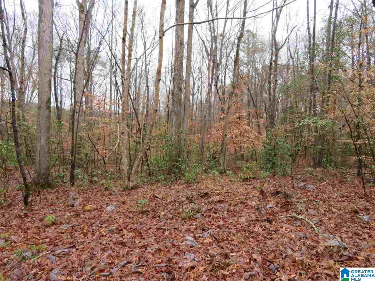 138 Cedar Grove Road West Blocton, AL 35184 - Photo 25 of 44