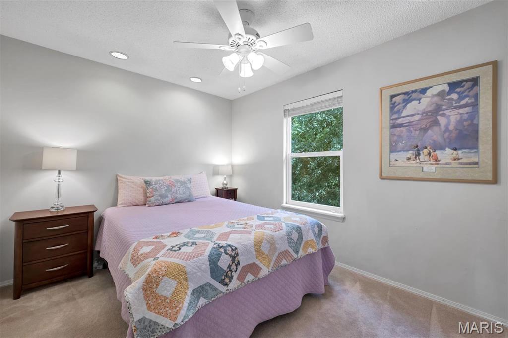 108 Tara Ridge Court Ballwin, MO 63021 - Photo 41 of 49 Gallery Image 41