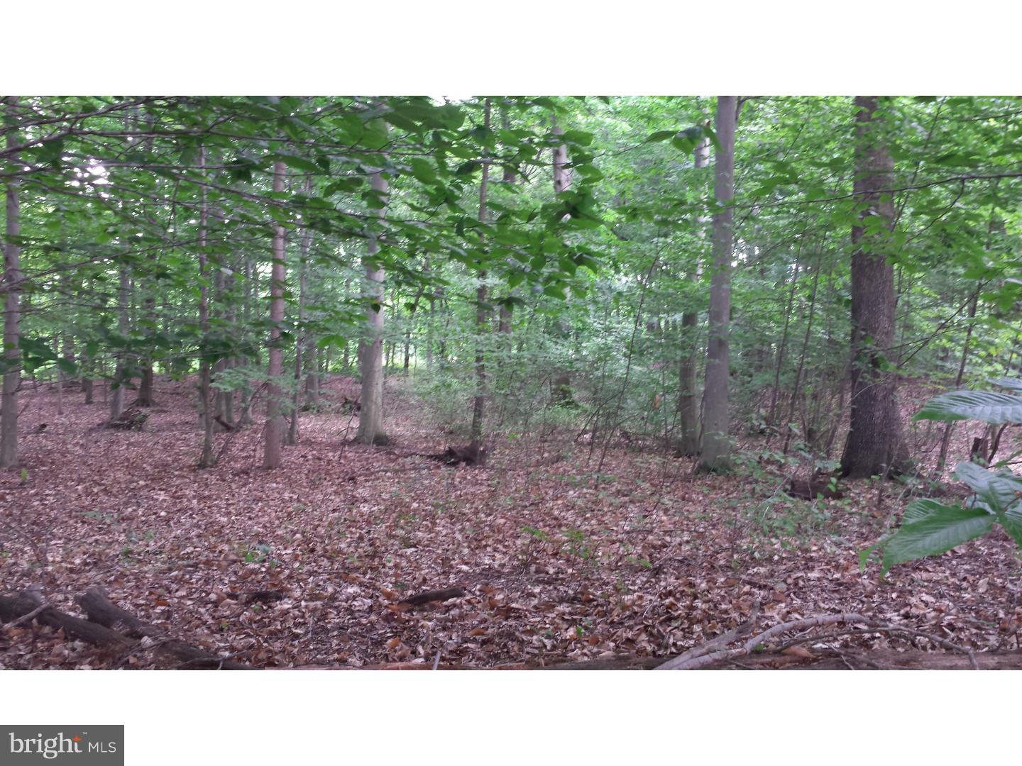 695 Fremont Road Nottingham, PA 19362 - Photo 23 of 25