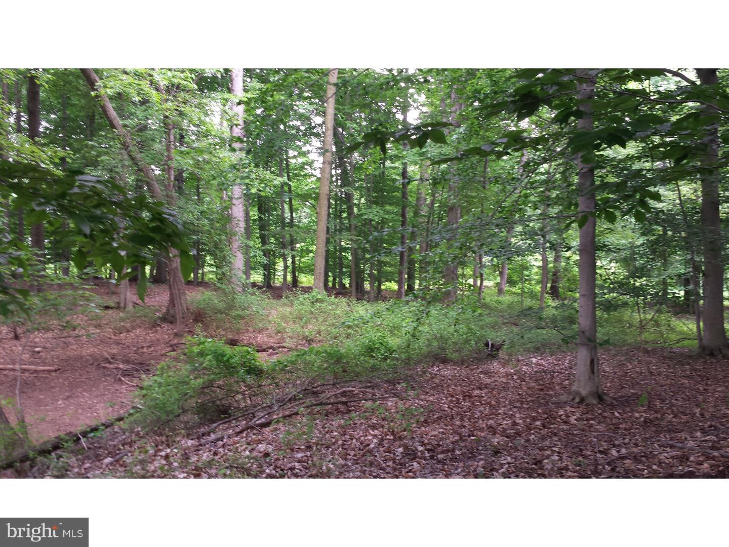 695 Fremont Road Nottingham, PA 19362 - Photo 25 of 25