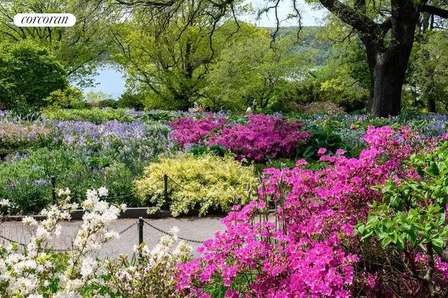 a view of a flower in a garden