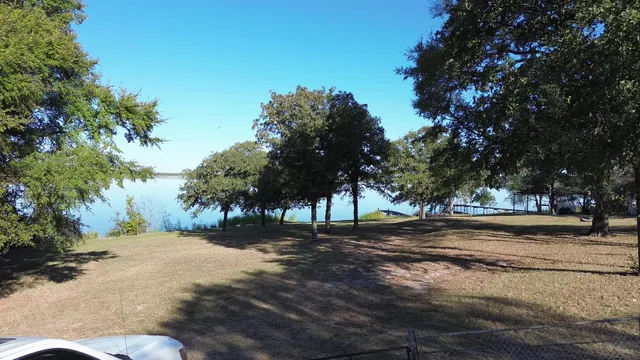 a view of yard with tree
