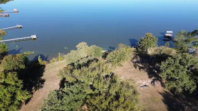 a close up of a vase of flowers