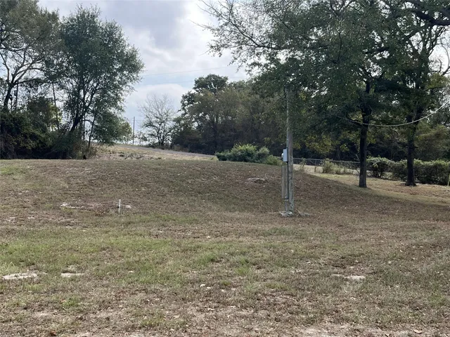 a view of a yard with trees