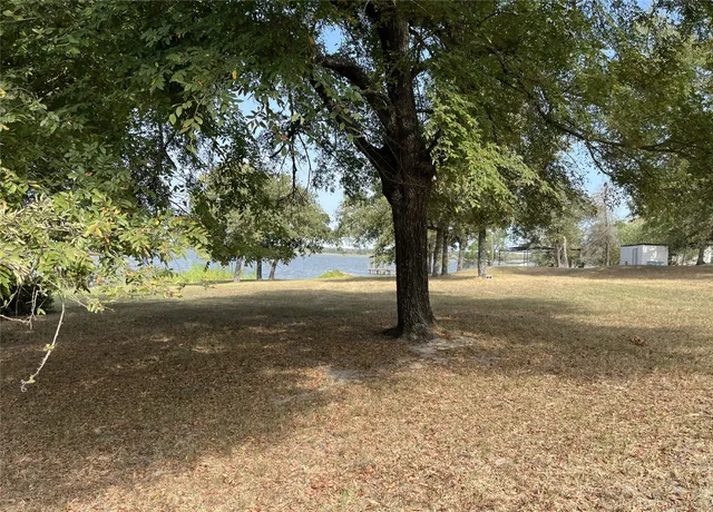 a view of dirt yard with large trees