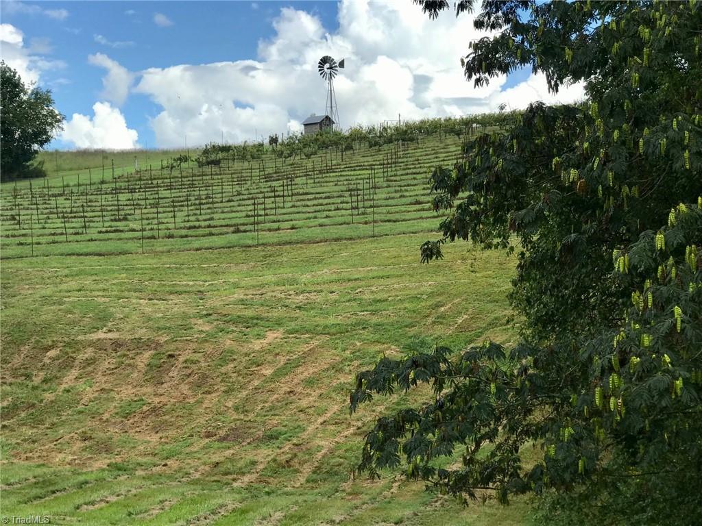 1082 East Carter Mill Road Elkin, NC 28621 - Photo 17 of 21 View of vineyard and windmill