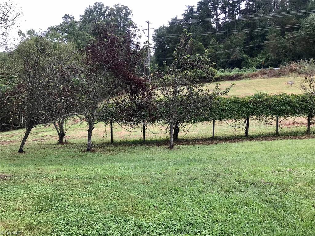 1082 East Carter Mill Road Elkin, NC 28621 - Photo 18 of 21 Apple trees & scuppernong vines