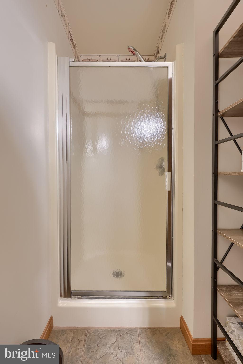 258 Beaver Road Birdsboro, PA 19508 - Photo 28 of 59 Modern shower space with sleek design.