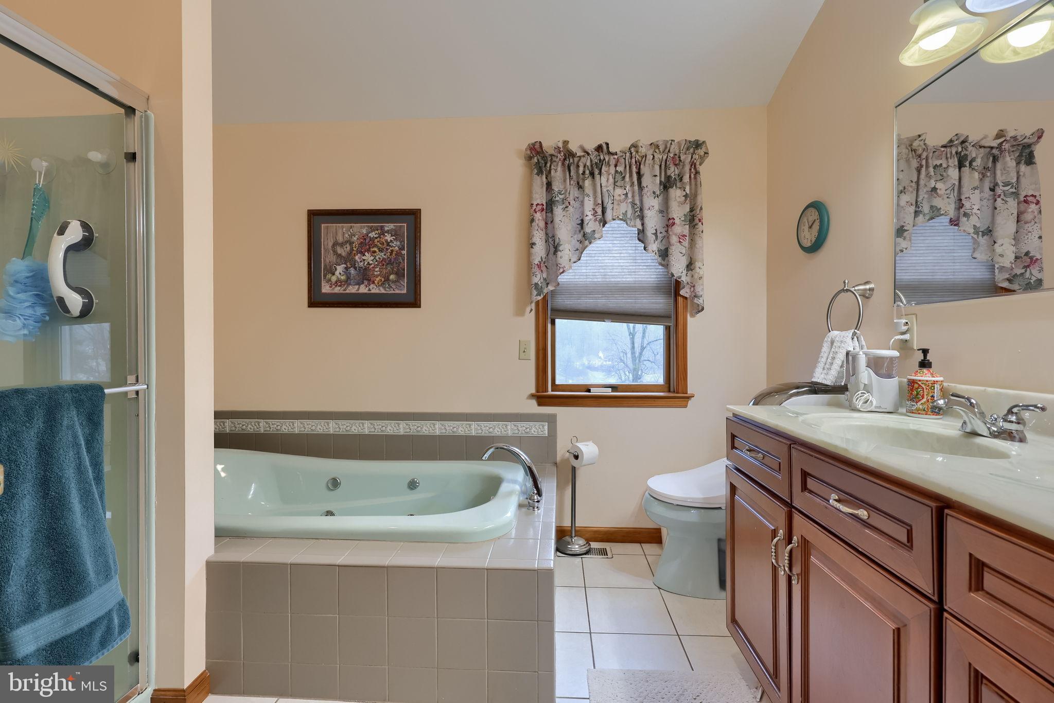 258 Beaver Road Birdsboro, PA 19508 - Photo 34 of 59 Serene bathroom retreat with elegant fixtures.