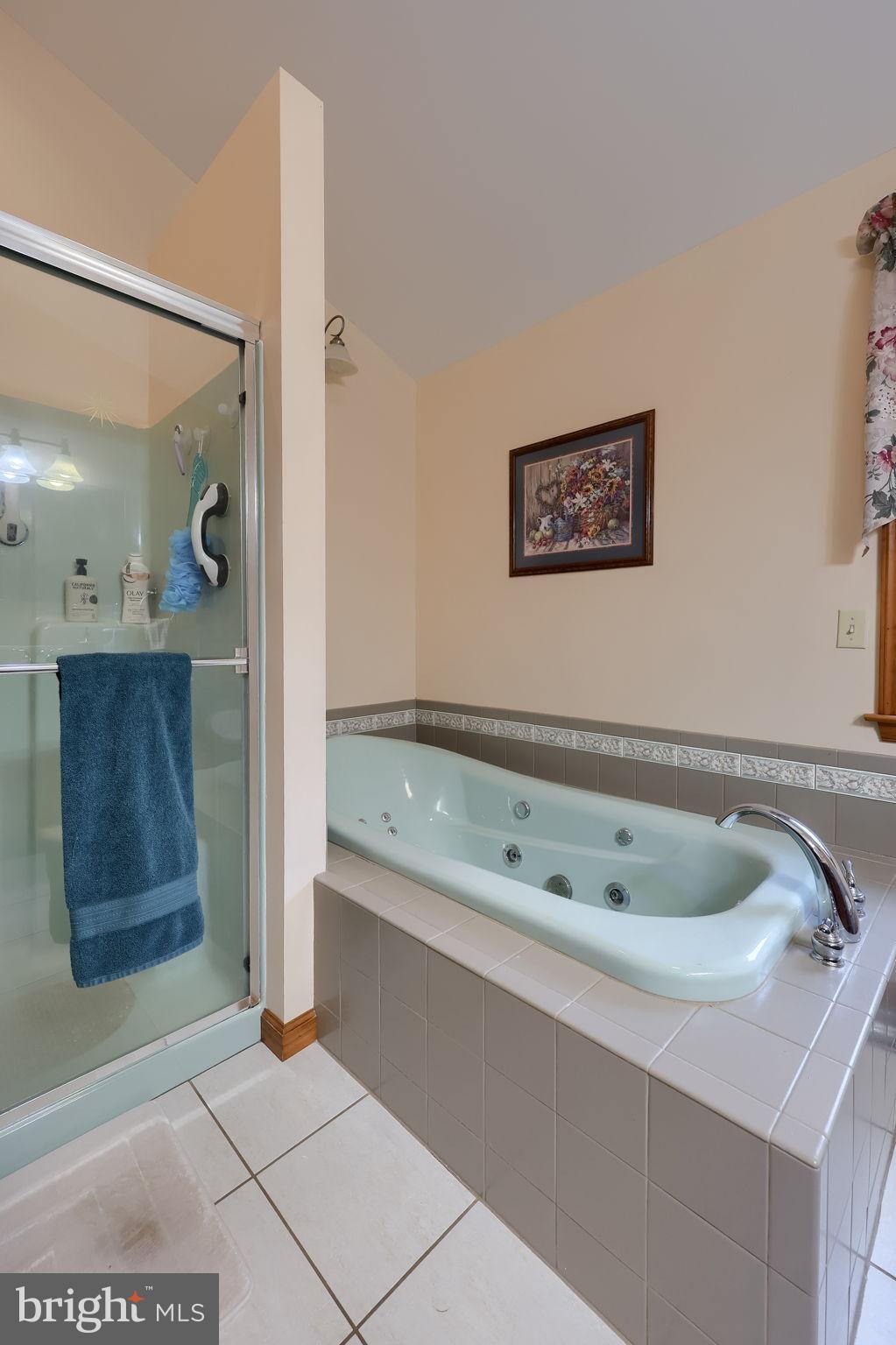 258 Beaver Road Birdsboro, PA 19508 - Photo 35 of 59 Serene bathroom retreat with spa tub.