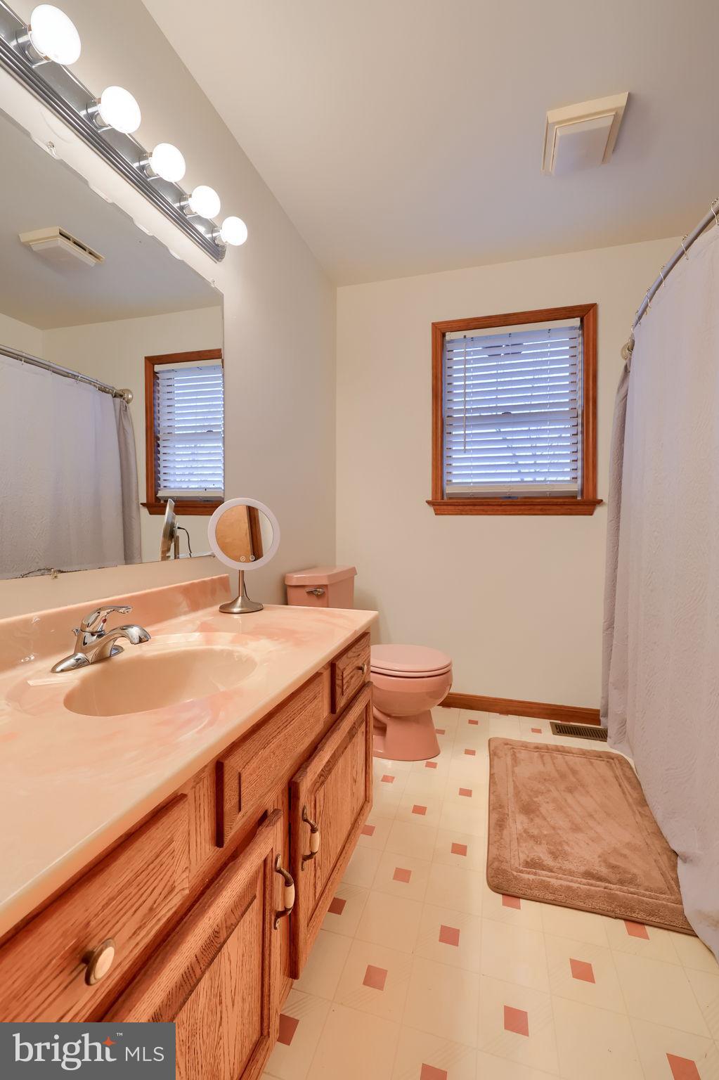 258 Beaver Road Birdsboro, PA 19508 - Photo 36 of 59 Charming bathroom with vintage appeal.