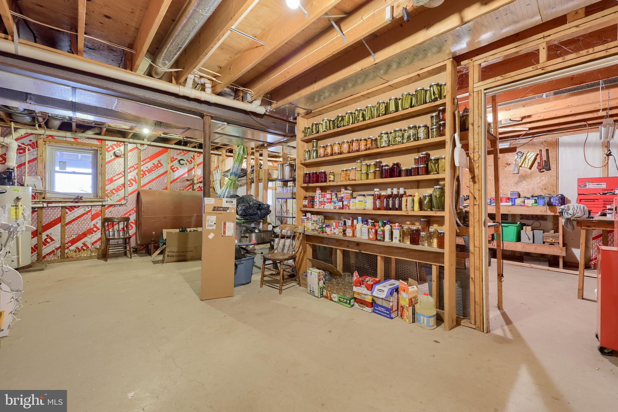 258 Beaver Road Birdsboro, PA 19508 - Photo 40 of 59 Spacious basement with organized storage.
