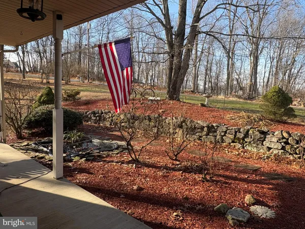 a view of a backyard with large trees