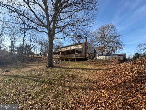a view of a yard with a large tree