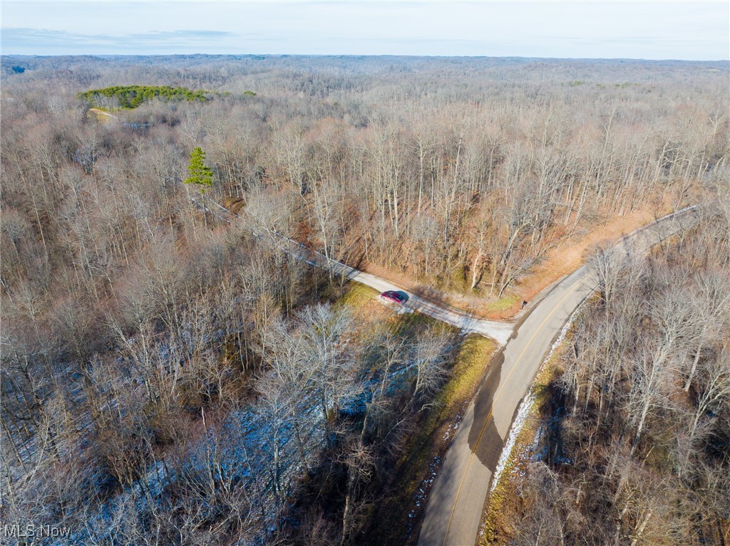 9 County Road New Matamoras, OH 45767 - Photo 44 of 48 Aerial view of a heavily wooded area