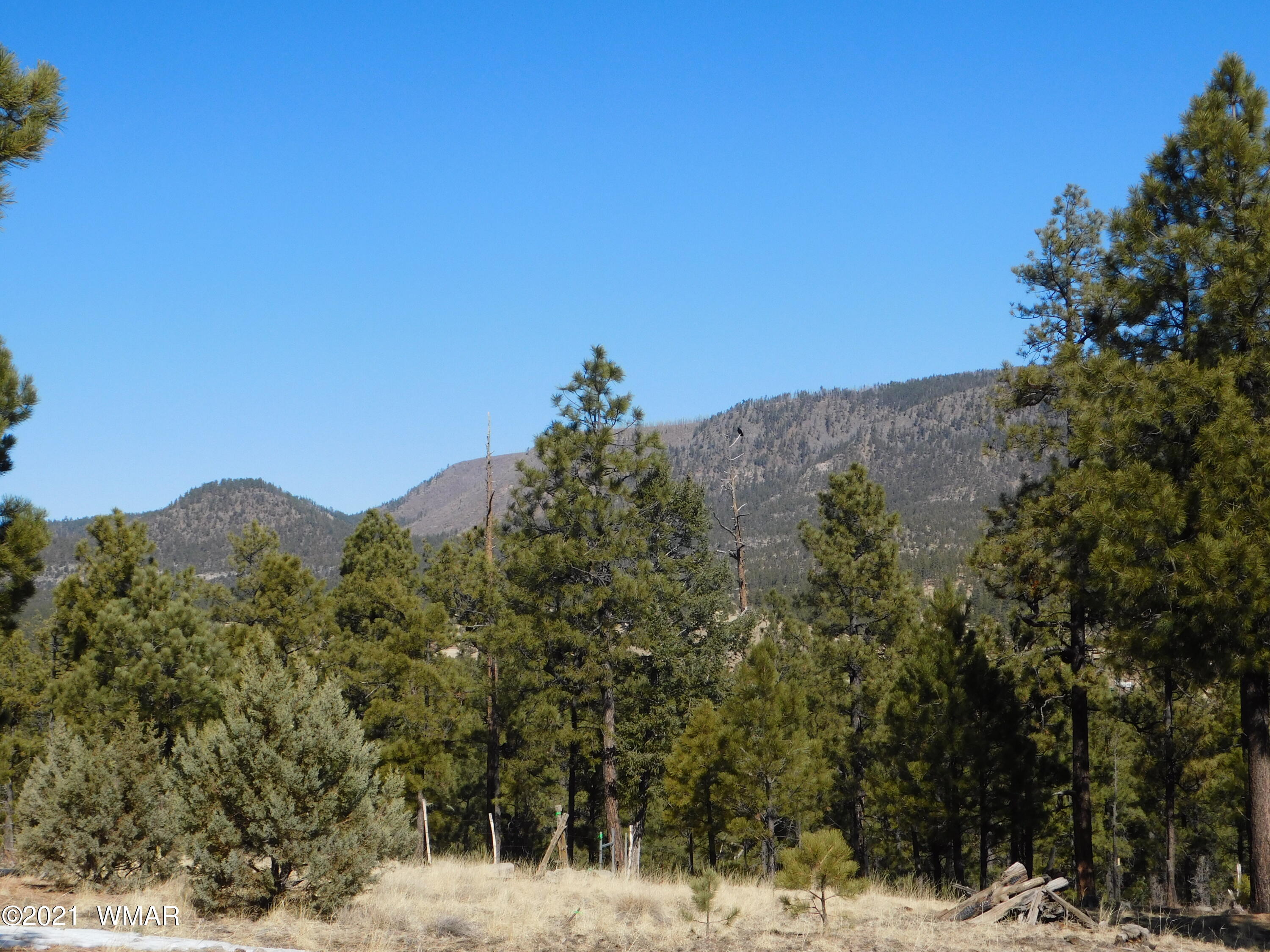 N2147 Alpine Az 85920 Alpine, AZ 85920 - Photo 5 of 15