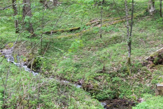 $145,000 | 0 Big Spring Trail, Unit 61 69, Cherokee, NC 28719