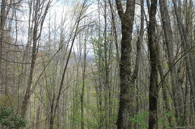 $145,000 | 0 Big Spring Trail, Unit 61 69, Cherokee, NC 28719