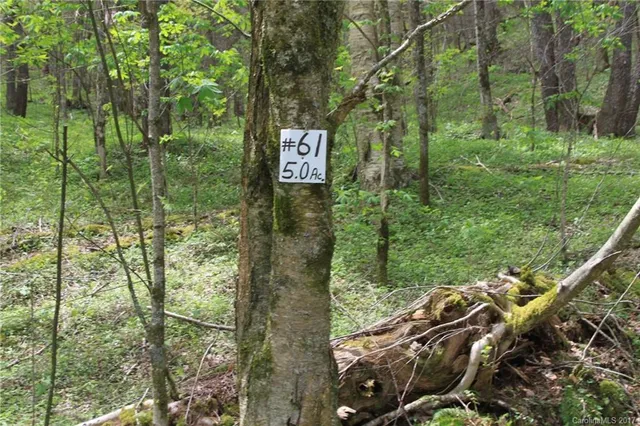 $145,000 | 0 Big Spring Trail, Unit 61 69, Cherokee, NC 28719