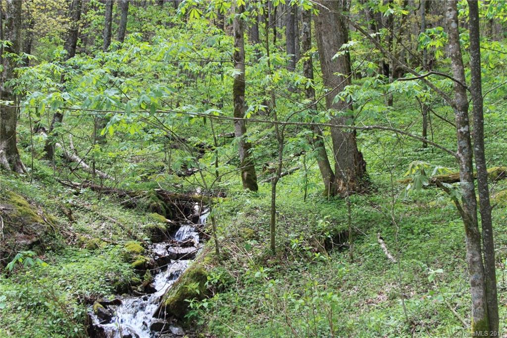 0 Big Spring Trail, Unit 61 69 Cherokee, NC 28719 - Photo 7 of 23