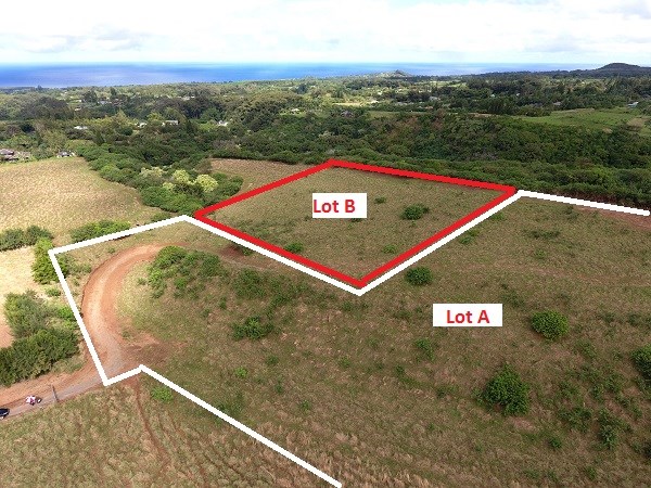1855 Kauhikoa Road, Unit 222A Haiku, HI 96708 - Photo 11 of 16 a view of a city