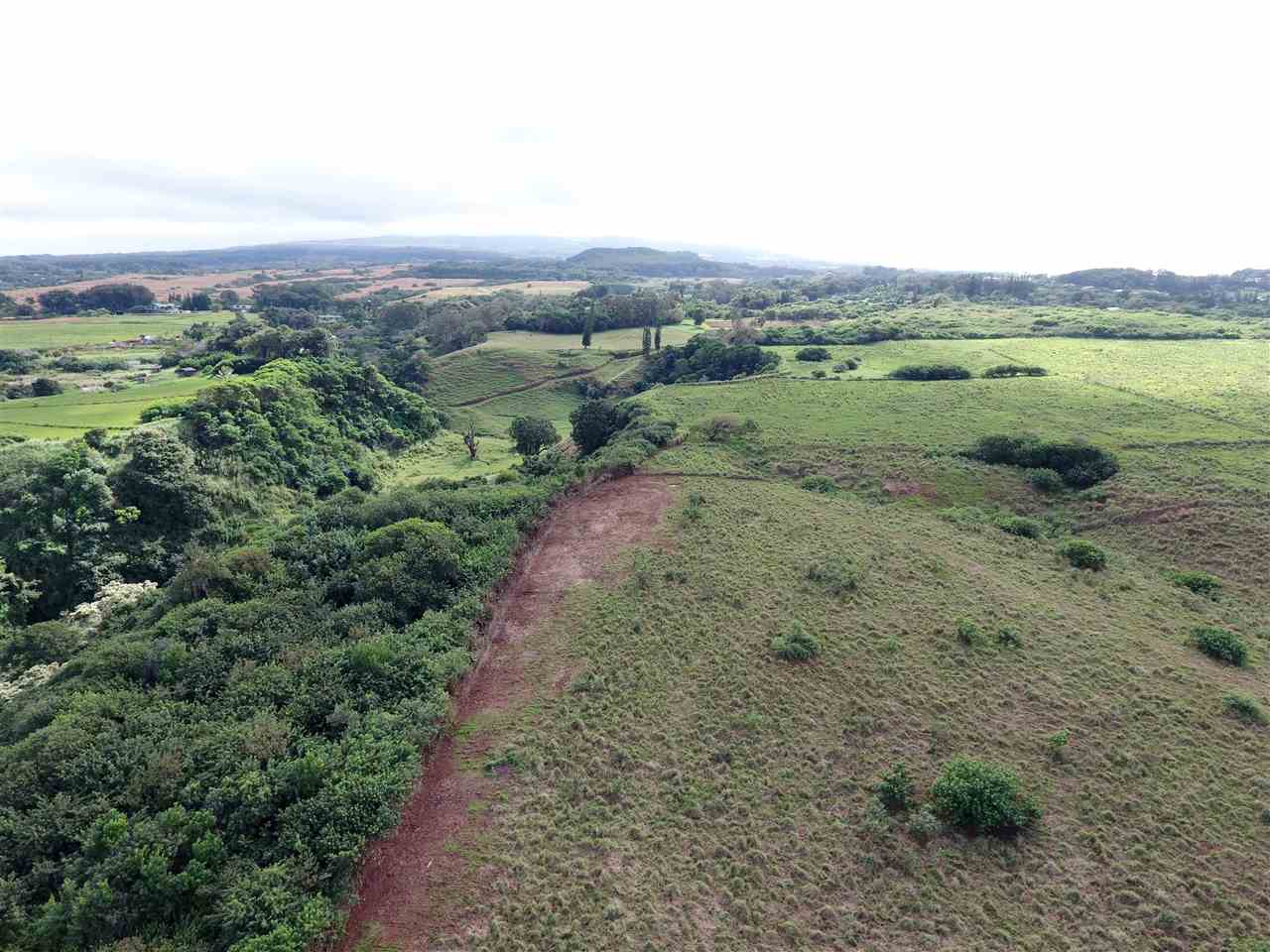 1855 Kauhikoa Road, Unit 222A Haiku, HI 96708 - Photo 14 of 16 a view of a field with an ocean