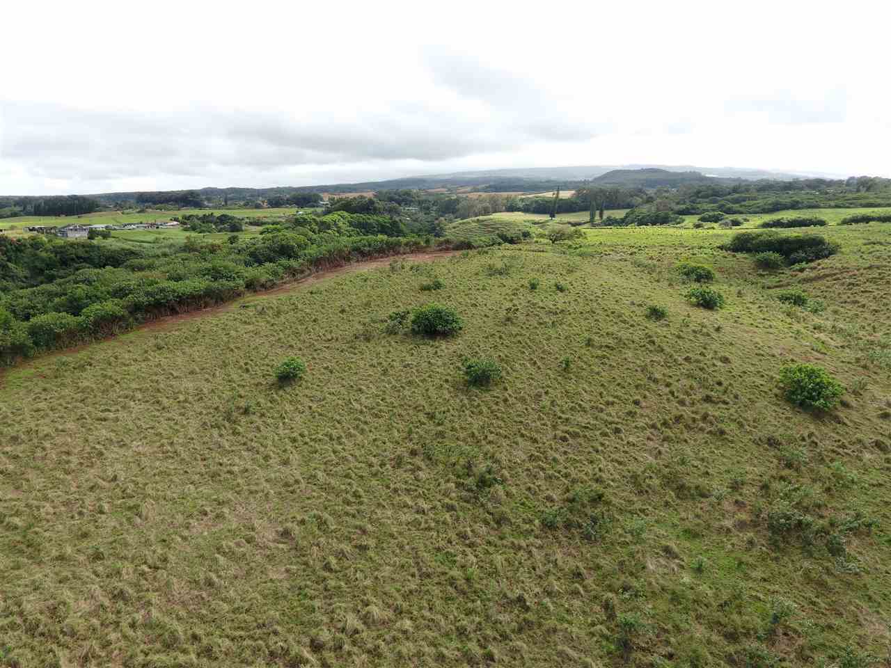 1855 Kauhikoa Road, Unit 222A Haiku, HI 96708 - Photo 8 of 16 a view of a field with an ocean