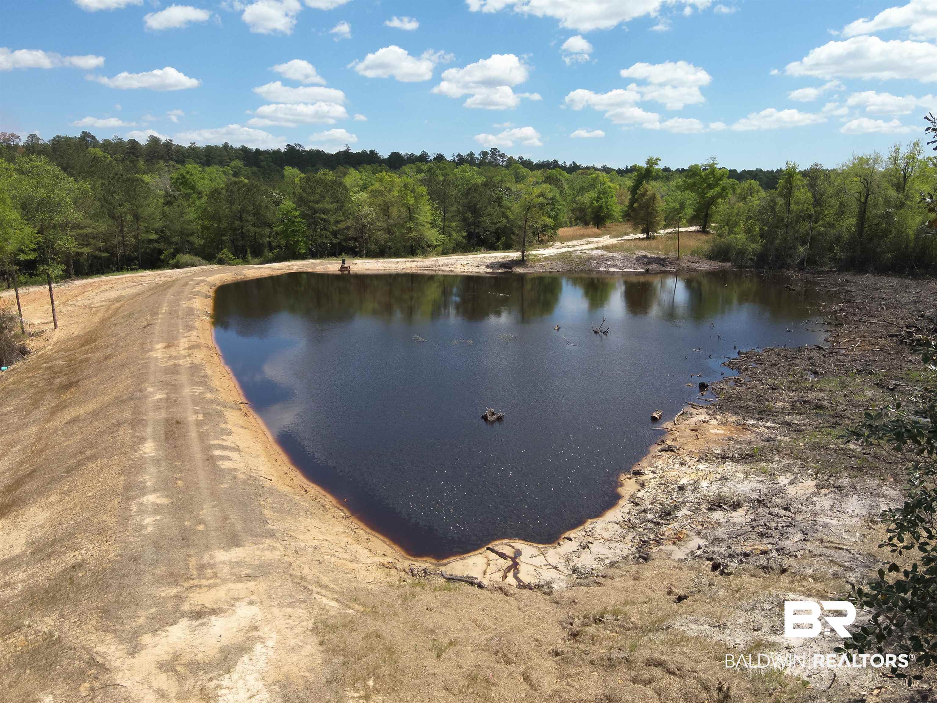 0 Powell Road Eight Mile, AL 36613 - Photo 6 of 57