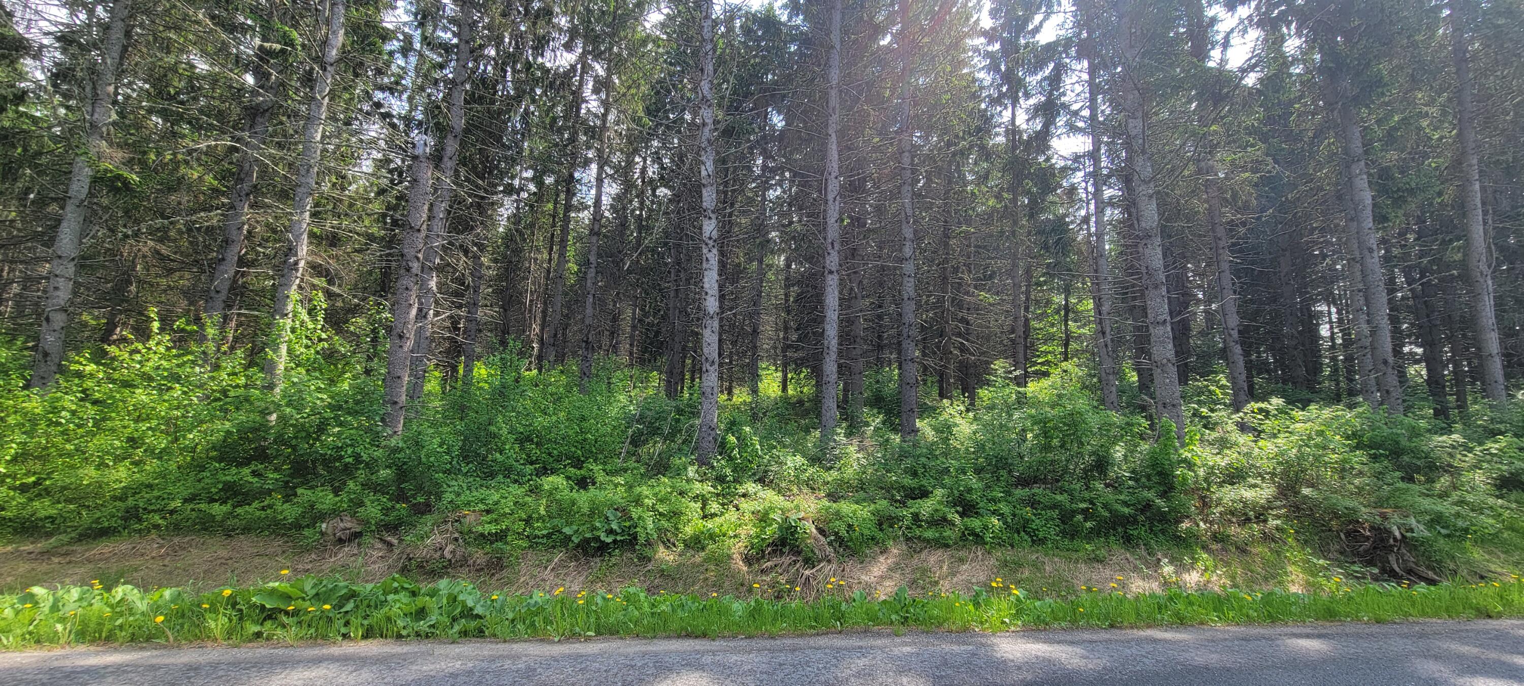 1066 South Perley Brook Road Fort Kent, ME 04743 - Photo 4 of 9 20250605_144714