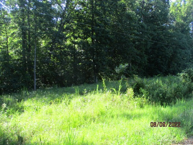 Tbd Timber Road Petersburg, VA 23805 - Photo 1 of 10 Gallery Image 1
