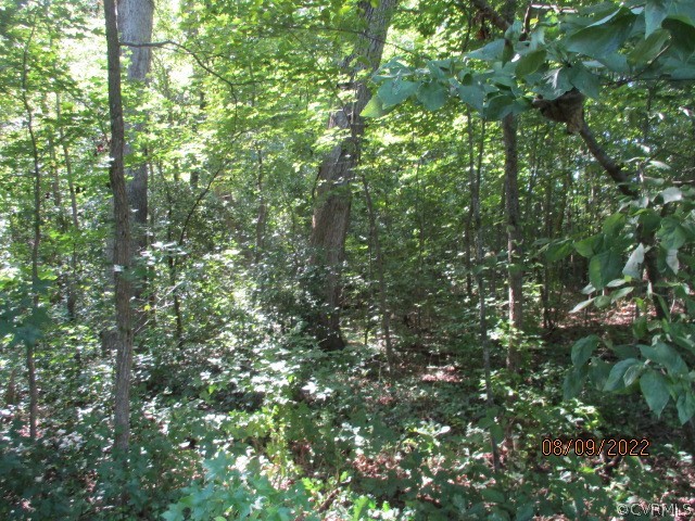 Tbd Timber Road Petersburg, VA 23805 - Photo 3 of 10 Gallery Image 3