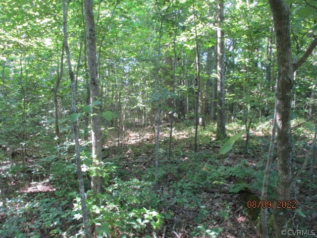 Tbd Timber Road Petersburg, VA 23805 - Photo 4 of 10 Gallery Image 4
