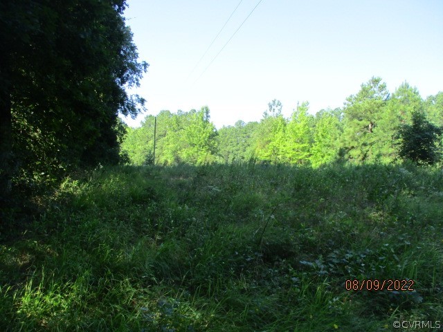 Tbd Timber Road Petersburg, VA 23805 - Photo 6 of 10 Gallery Image 6