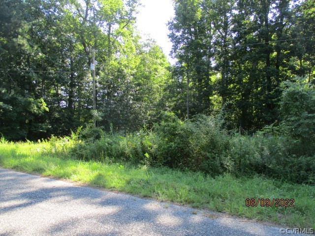 Tbd Timber Road Petersburg, VA 23805 - Photo 7 of 10 Gallery Image 7