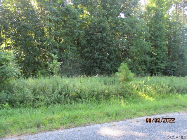 Tbd Timber Road Petersburg, VA 23805 - Photo 8 of 10 Gallery Image 8