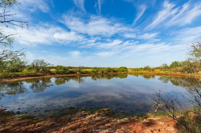a view of a lake from a yard