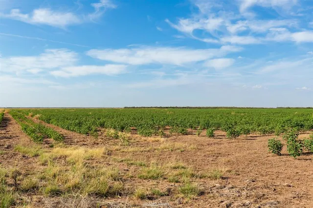 a view of lake with city