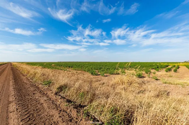 a view of lake view and mountain