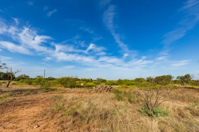 a view of a yard with a mountain