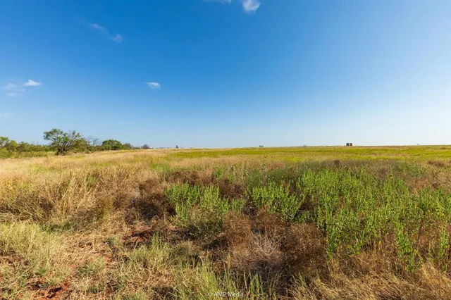 a view of a yard with wooden fence