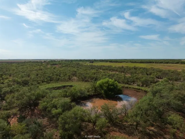 a view of an ocean and beach