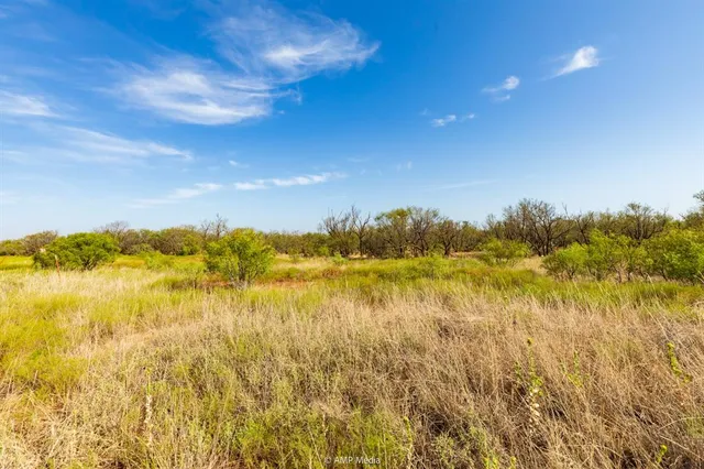 a view of an ocean from a yard
