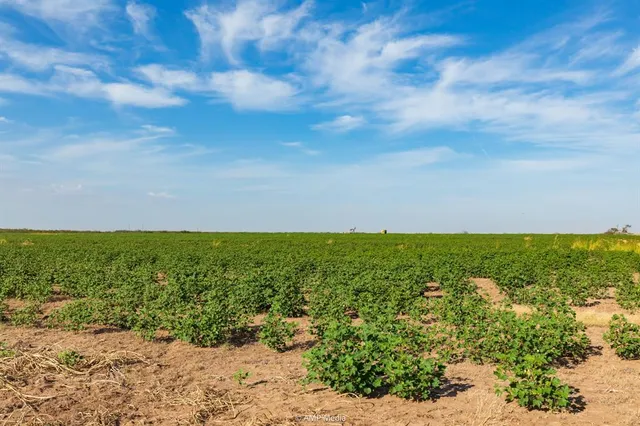 a view of yard with ocean view
