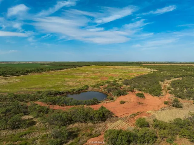 a view of an ocean and beach