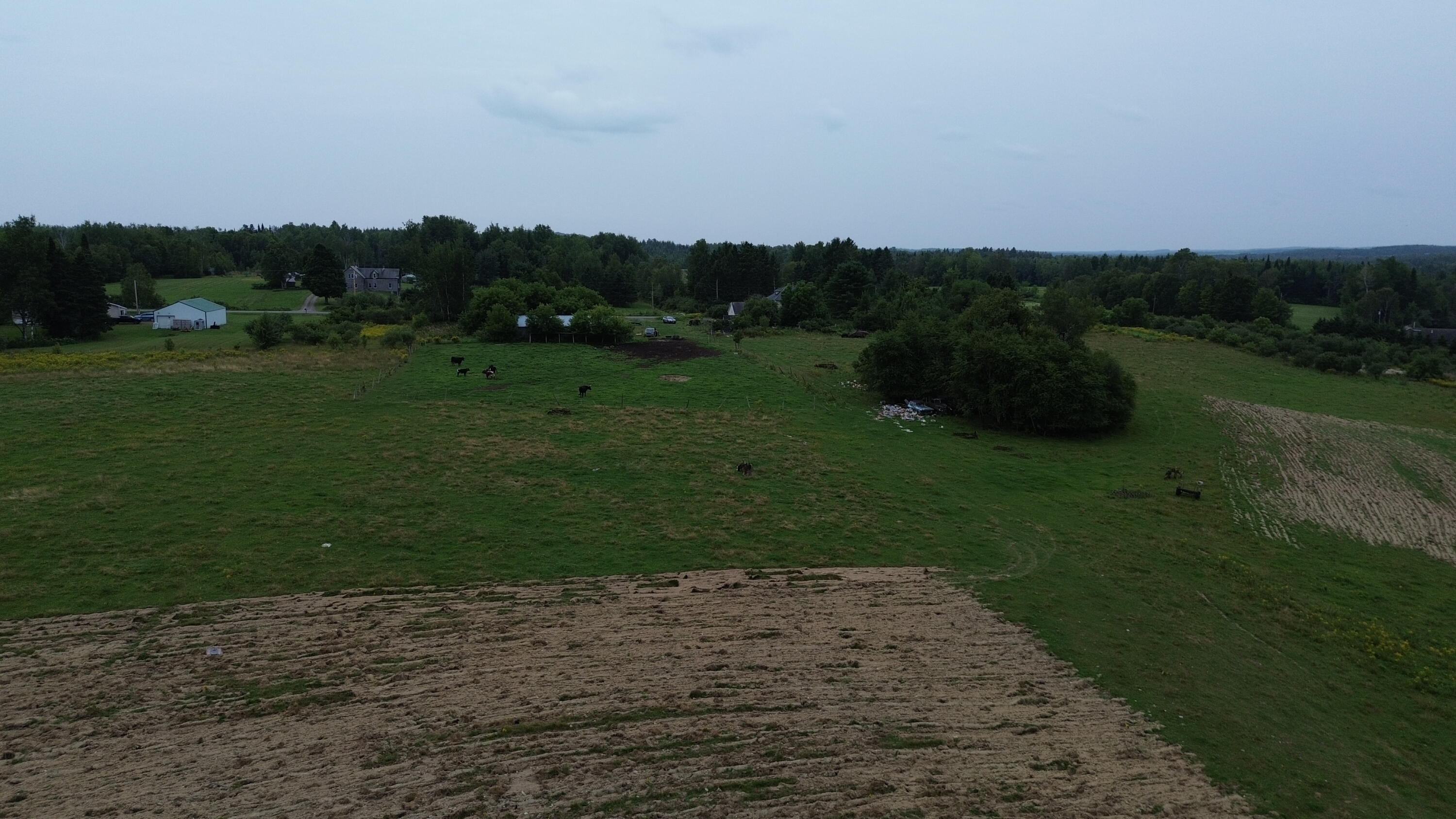272 E Road New Sweden, ME 04762 - Photo 14 of 41 DJI_0454