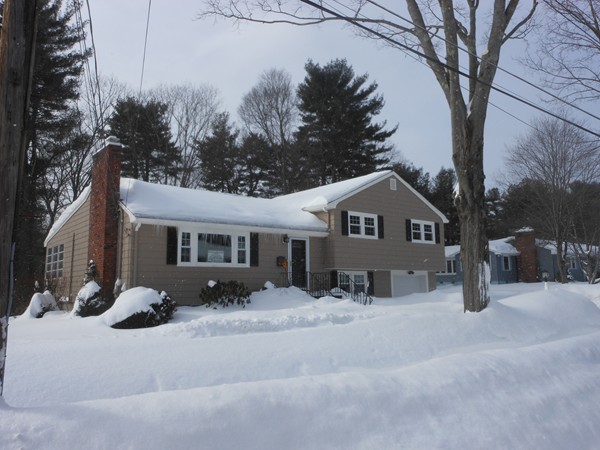 50 Timberneck Drive Reading, MA 01867 - Photo 1 of 23 Gallery Image 1