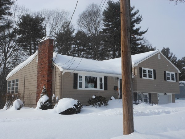 50 Timberneck Drive Reading, MA 01867 - Photo 3 of 23 Gallery Image 3